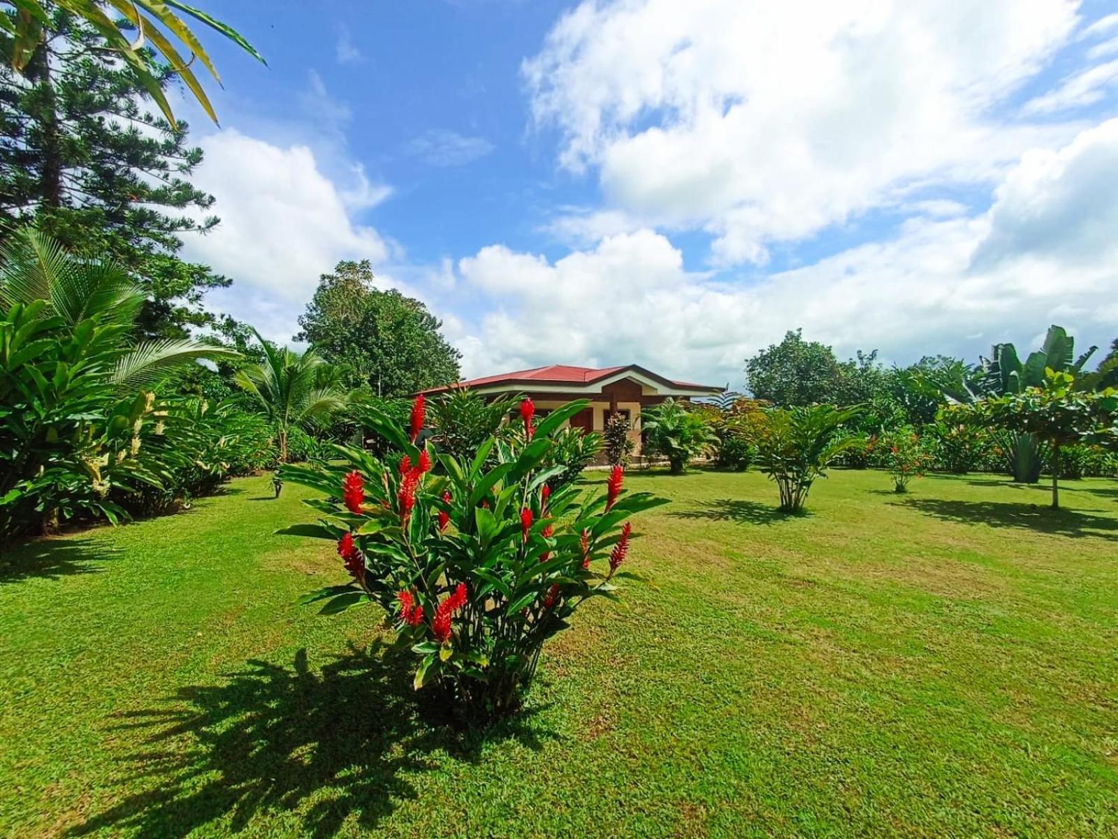 Villa Ceiba La Fortuna Exterior foto